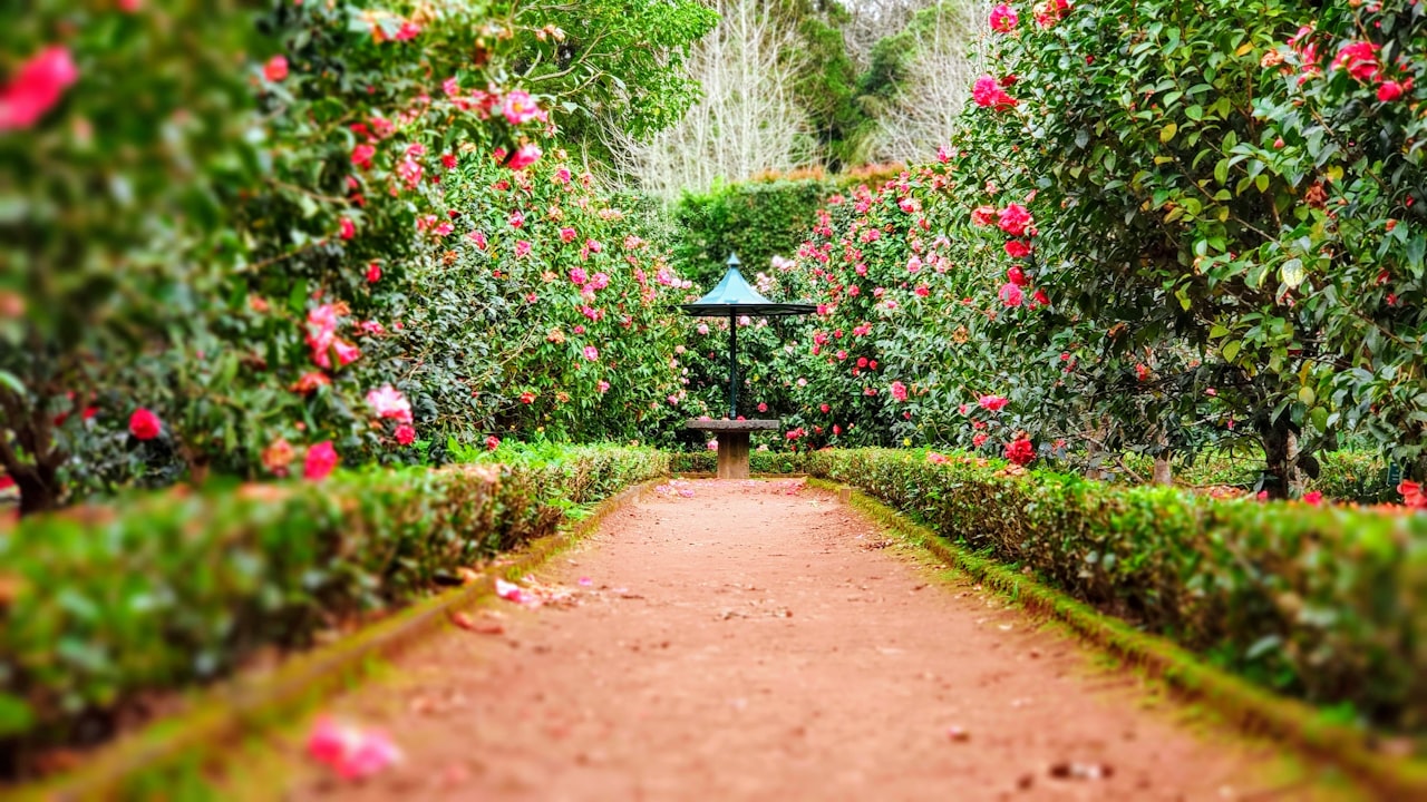 Vintage garden path