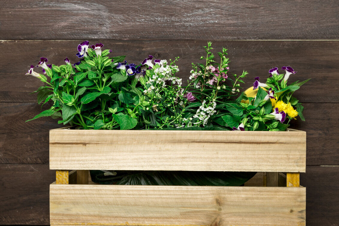 Upcycled Window Box Planter