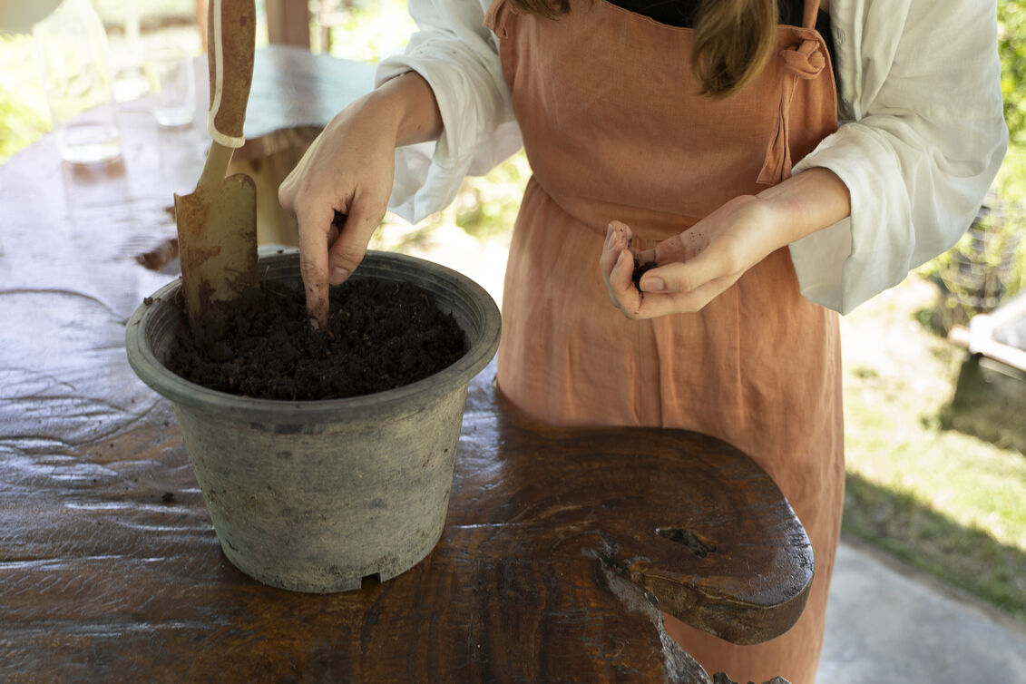 Heirloom Seeds