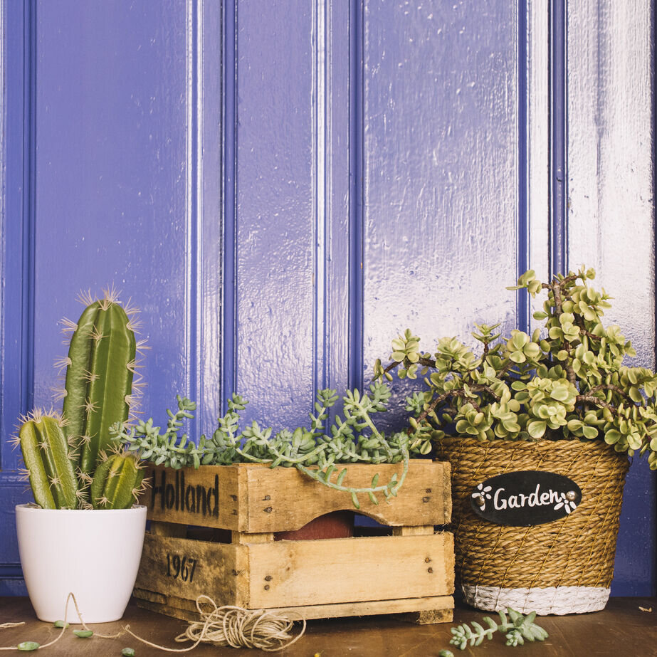 Rustic hallway décor with clay accents