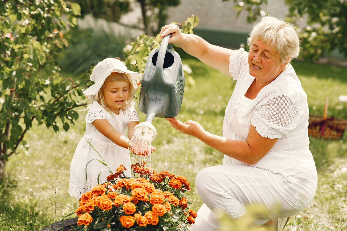 Grandma's Roses